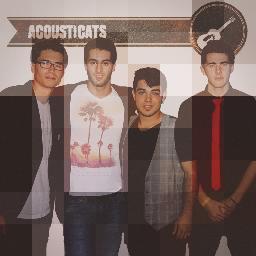 AcousticatsTF's profile picture. 