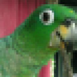 Ze_Fuxico's profile picture. 