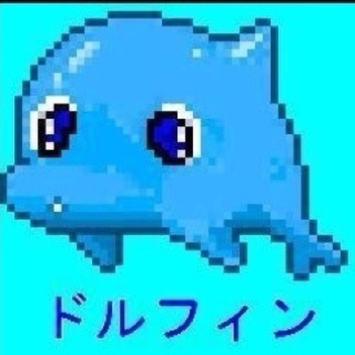 Instagram:dolphin_okamura