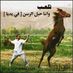 ميمووو (@meme0501660203m) Twitter profile photo