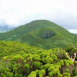 napale19's profile picture. Cuando no es una cosa, es la otra