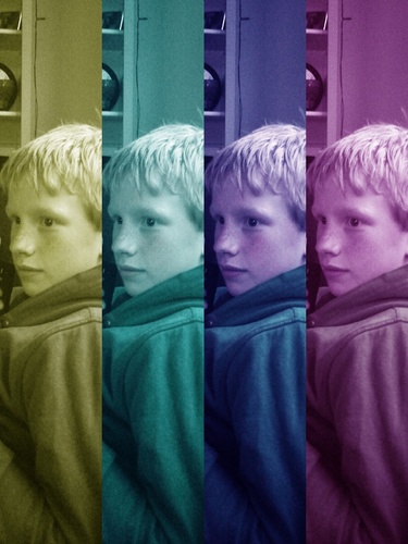 wilcodv20's profile picture. 