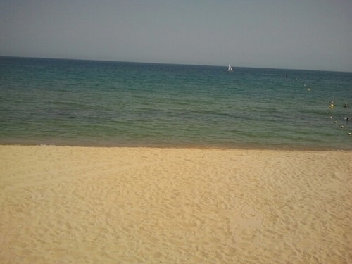 rcabanef's profile picture. 