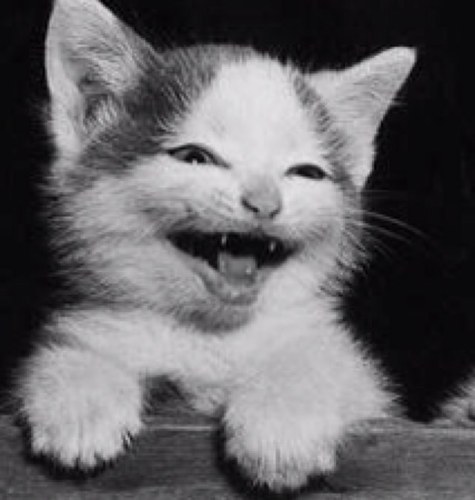 Je ne m'interresse qu'aux qualitės des gens. J'ai moi mēme des défauts alors comment me permettre de juger ceux des autres.