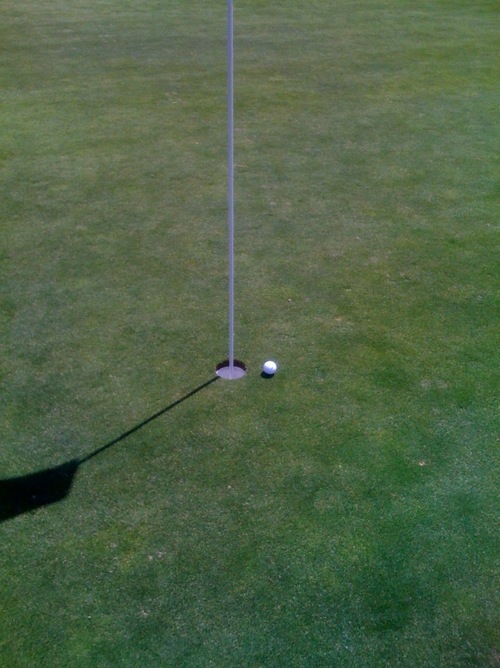 mlrhino's profile picture. 