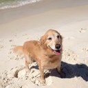 Sharon Bragg - @sgbragg - Twitter