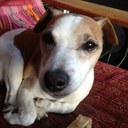 Stuart Moss - @Mrbrightbean - Twitter