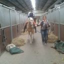 Anne Kin - @anne_kin - Twitter