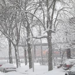 arreolaamparo's profile picture. PASANDO LA ENSEÑANZA DE LA MUSICA A LAS NUEVAS GENERACIONES.