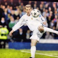 Tony Peraza (@tonyperaza1) 's Twitter Profile