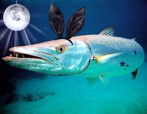 De pequeña estaba jugando en el mar y me ahogué, ahora soy mitad pez mitad puta. Yo fui la que se comió a la madre de Nemo y violó a la Sirenita. Ave mi chocho.