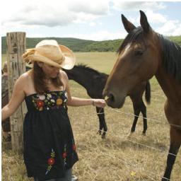 Wrangling content for small businesses.