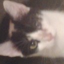 timothy  hatmaker - @TimothyHatmaker - Twitter