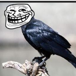 KaiReload's profile picture. Gamer,Youtuber y cuervo profesional