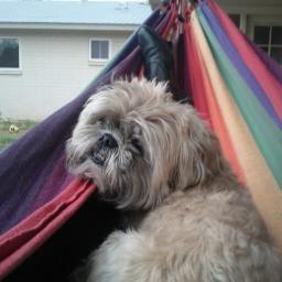 mulmern's profile picture. Blerg