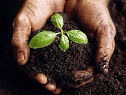 volontecollab's profile picture. Creating  Synergy Through Will Power.