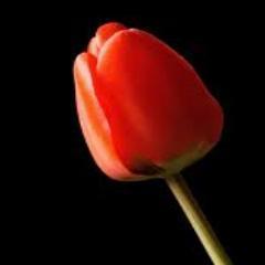 Jammukashmir's profile picture. Independent  Jammu Kashmir