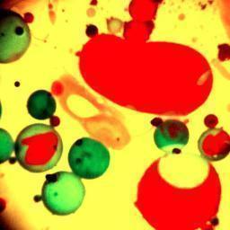 LiquidSteveSF's profile picture. Liquid Steve Designs is bringing back the classic psychedelic liquid light show experience, utilizing the original techniques developed in the mid-60s.