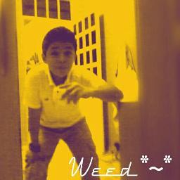 Solo yo :'D