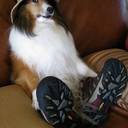 John Skeldon - @SkeldonJohn - Twitter