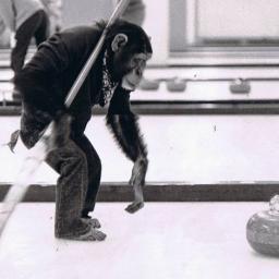 Just the best and smartest curler alive, that's all.  Still pissed off that they rank me low because of my teammates.