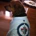 Conrad (@jetsdogg) Twitter profile photo