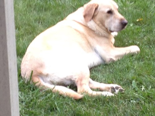 Lucyinthesky578's profile picture. 