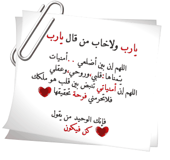 عضو هيئة التدريس بجامعة الباحة