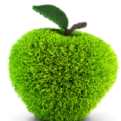 Jupitech provides comprehensive remote IT Management Services and Outsourced Business IT Support to growing companies.