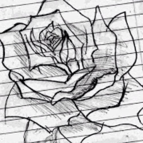 WeAreDustyRose's profile picture. Classic, with an edge -Dustyrose