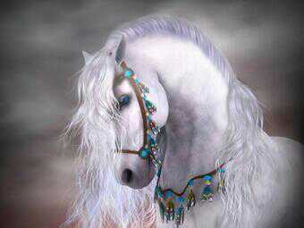 أغـــــــــــرد مـــــا أريـــــــــــد .......