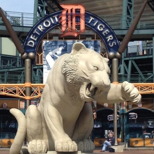 dettigsgal's profile picture. It's Michigan sports and a little VA Tech, Disney and family. What else is there?  MI▶️MN▶️CT▶️SC