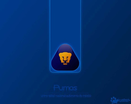 malraca1's profile picture. deportista y buen amigo