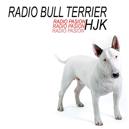 Tu sitio en la Radio, el lugar para aprender sobre el Bull Terrier, CULTURA BULL TERRIER https://t.co/nS4Jl5QNoz