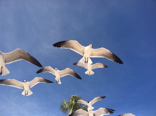 AvEnergy's profile picture. Putting God first and following Christ. Wife, mother. sister, daughter. Thanking God for all His blessings!