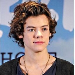 ❤ harry's curls ❤
follow and i follow back :) #verified #directioner