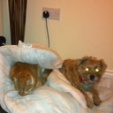 Mark Greening - @Greening7Mark - Twitter