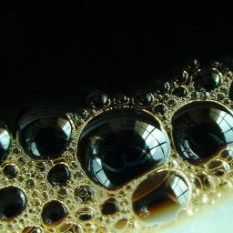 CoffeeBubble Profile Picture