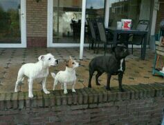 noahiglesias1's profile picture. 