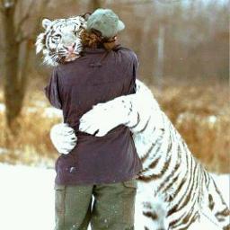 pablotarget's profile picture. Diseño publicidad marketing Imanes publicitarios para refrigeradores y vehiculos