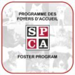 Le Twitter officiel du programme des Familles d'Accueil SPCA! *** The official Twitter of the SPCA Foster Program! *** 514-735-2711 x. 2237