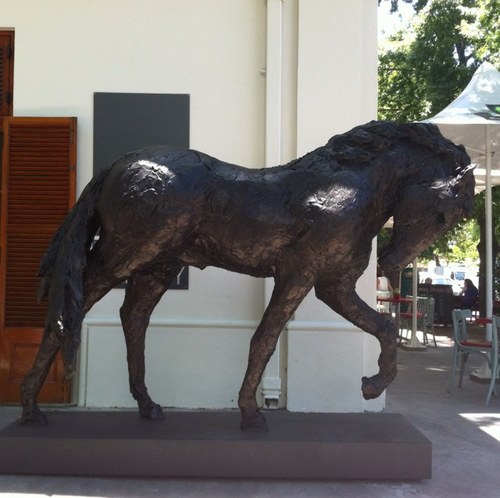 Bloodstock Consultant with Heritage Bloodstock. Inglis representative in South Africa.