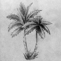 josemoragaphoto's profile picture. 