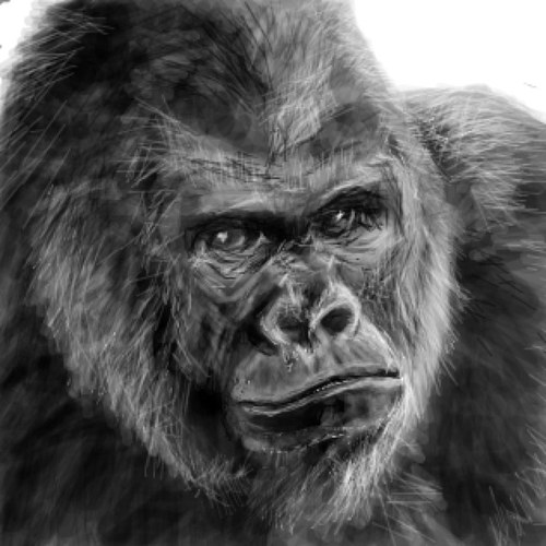 いたばばし Babashi023 Twitter いたばばし Babashi023 Twitter