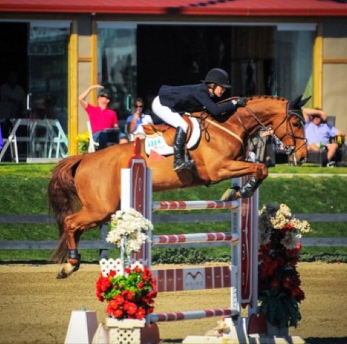 FindMeAtTheBarn's profile picture. ~Just your typical broke equestrian. I may not have more money than you but I have a lot more class~