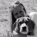 Michala Benson (@broady2006) Twitter profile photo