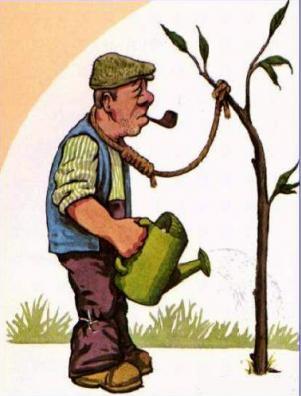 NilwareSV's profile picture. Amante de la lectura, siempre disponible para aprender cada día de las novedades que ocurren al rededor del mundo, especialmente en el ámbito tecnológico.