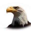 Shawn Coyle - @HeliSafety - Twitter