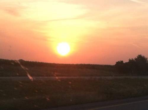 nyuali's profile picture. 