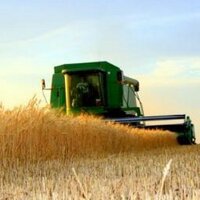 Farmingdarlin (@farmingdarlin) Twitter profile photo